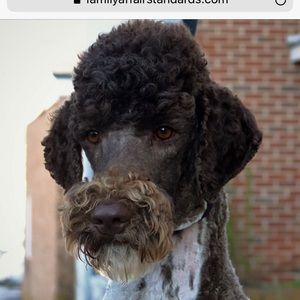 Meet your Posher, Gregory